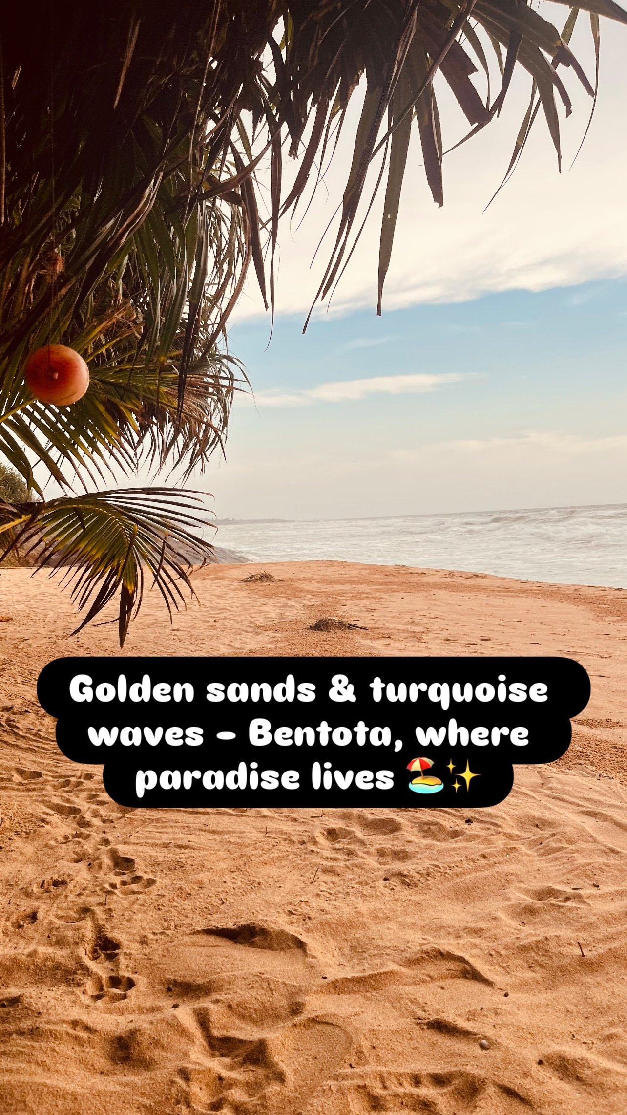 srilankatravels.guides_1758702496_highlight18080716786971656